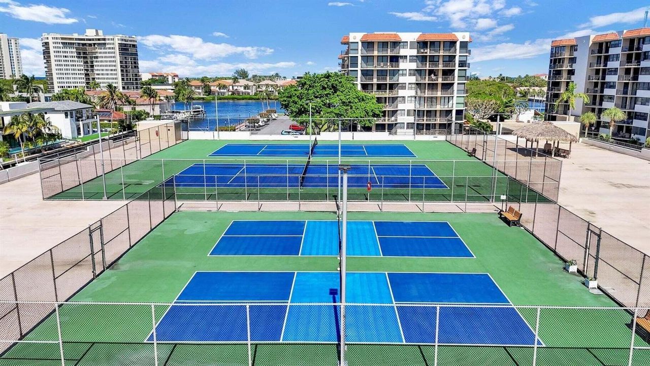 PB pickleball and Tennis pic good