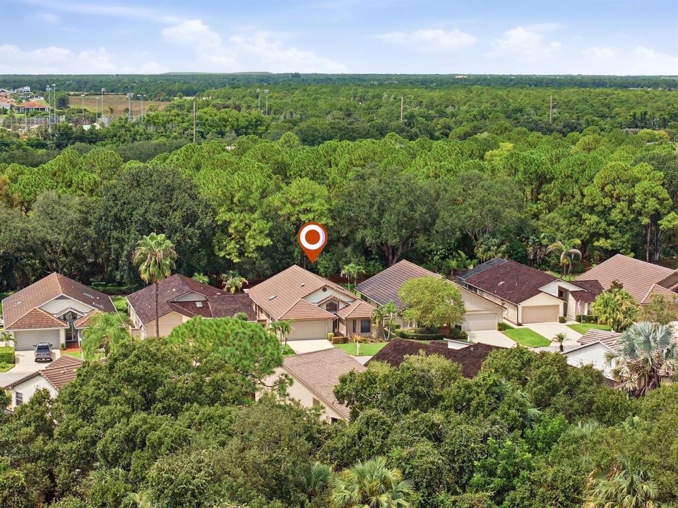 37_Aerial_View