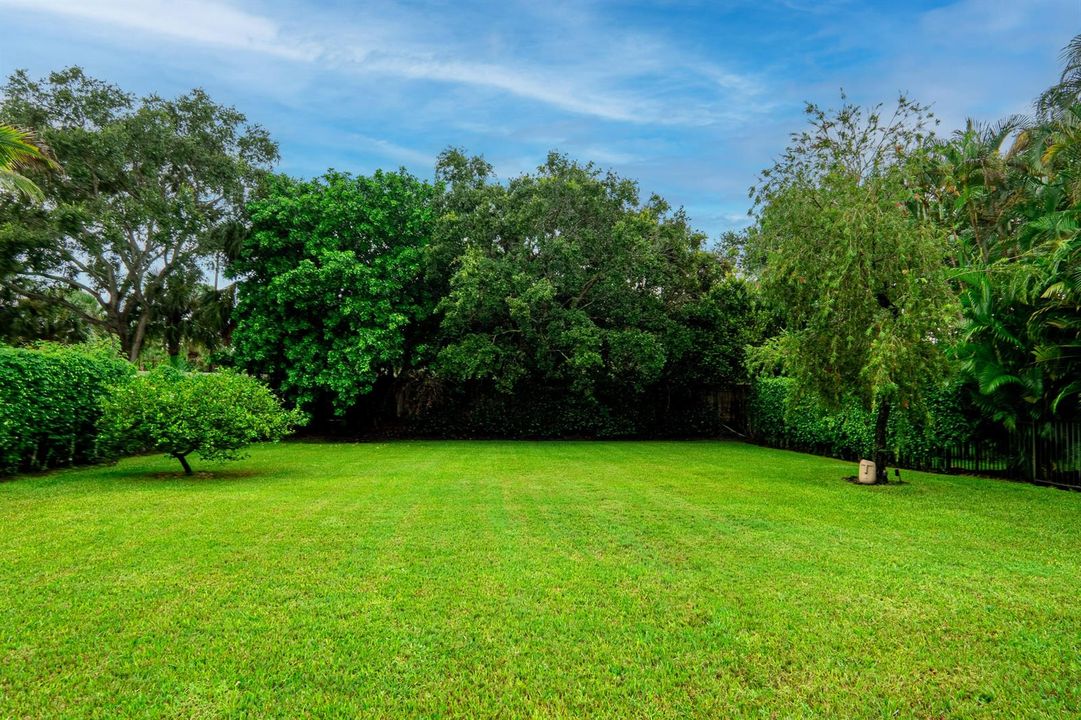 Backyard