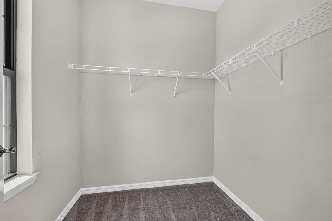 49-web-or-mls-BS1A7974