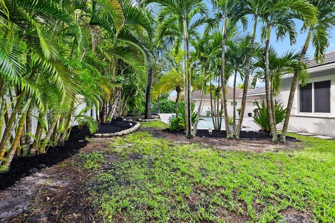 Spacious Yard