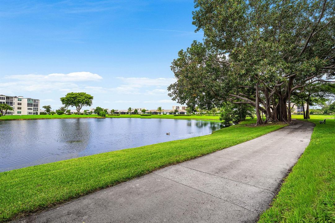 Beautiful Walking Trails!