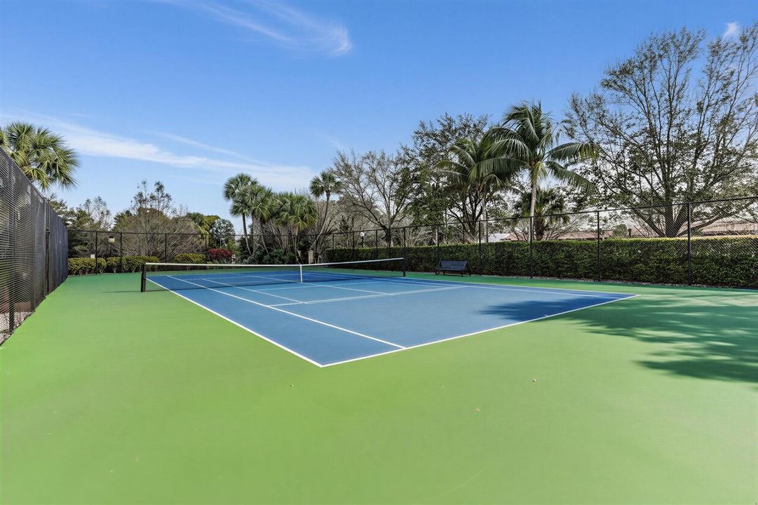 Tennis court (1) sunny