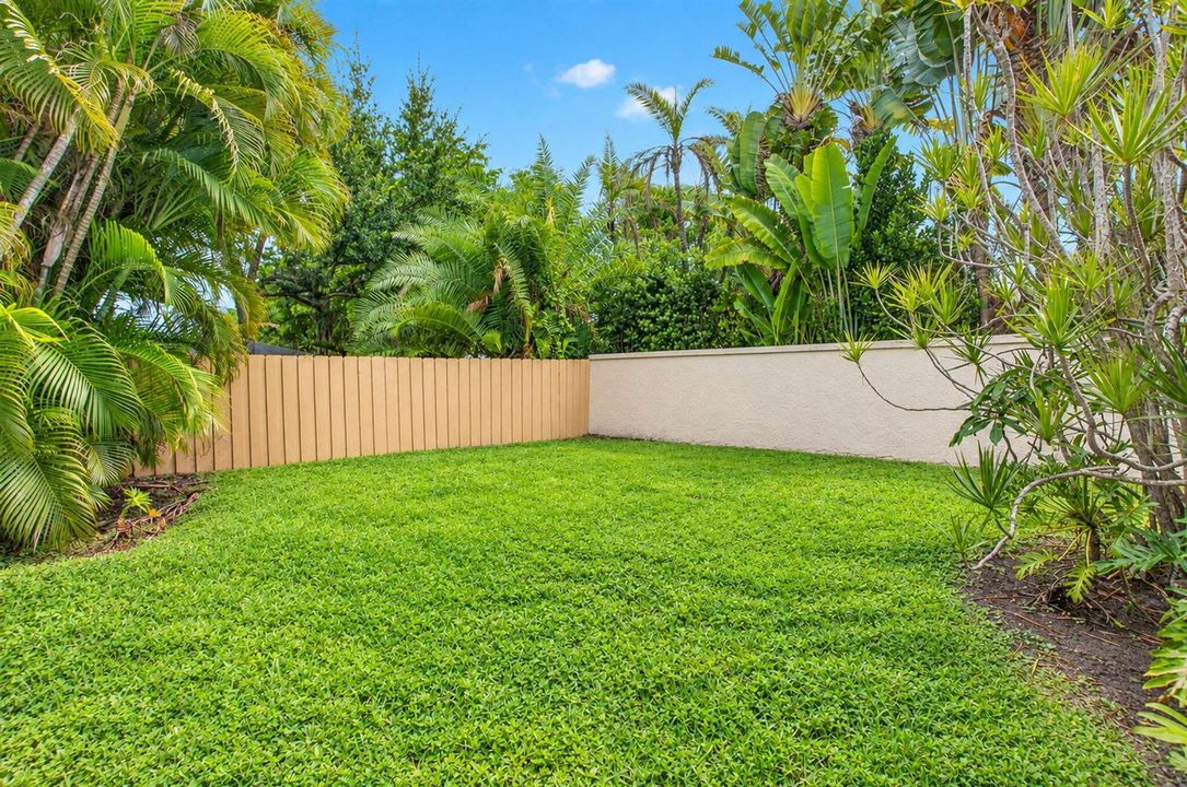 East Side yard