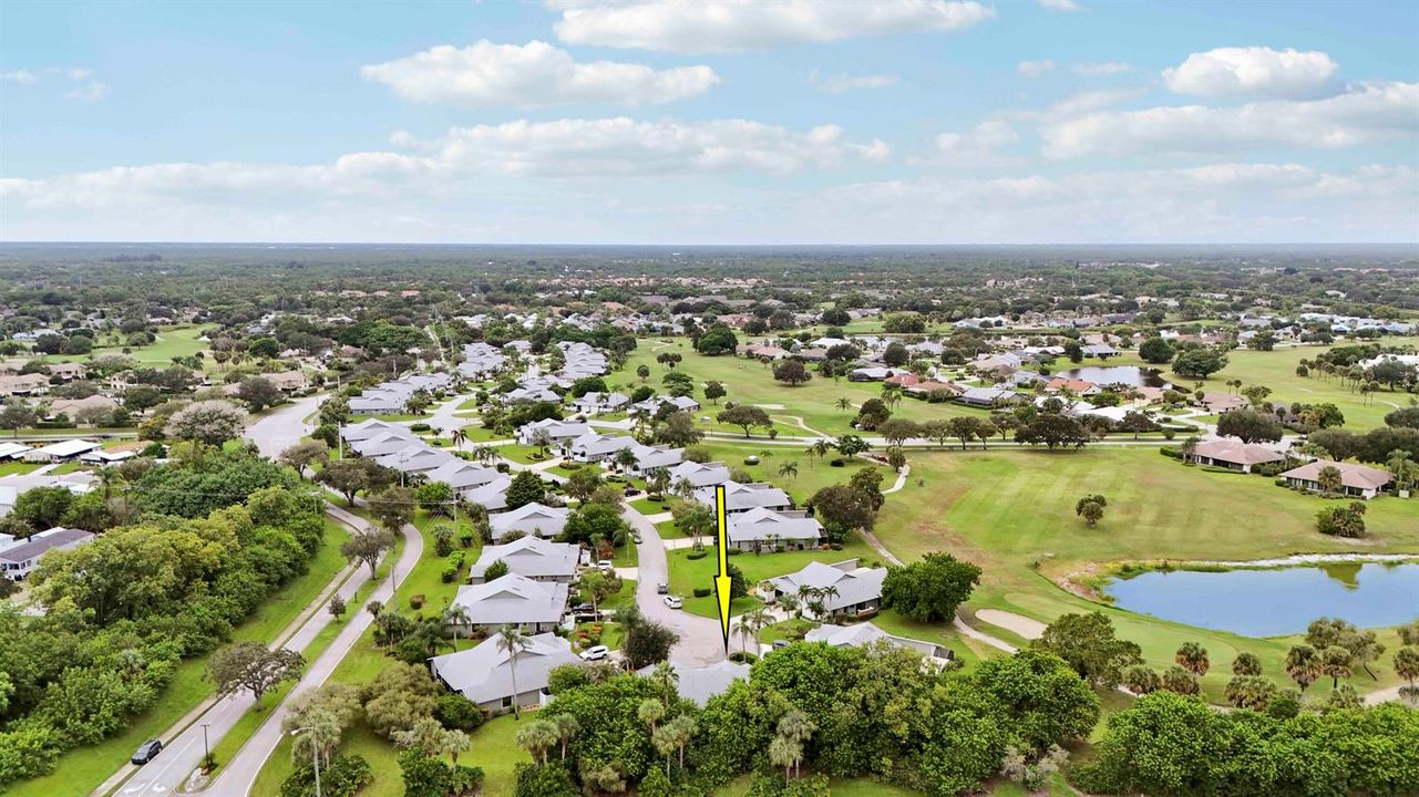 Aerial community I