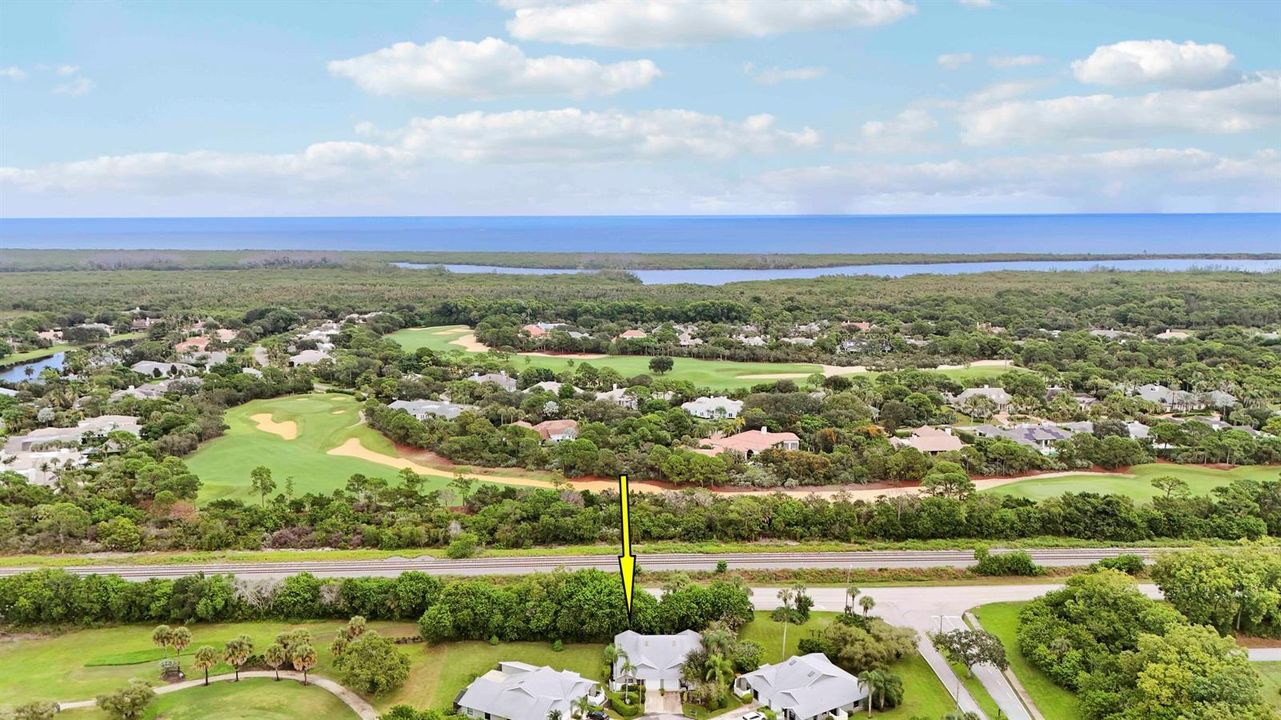 Aerial with ocean II