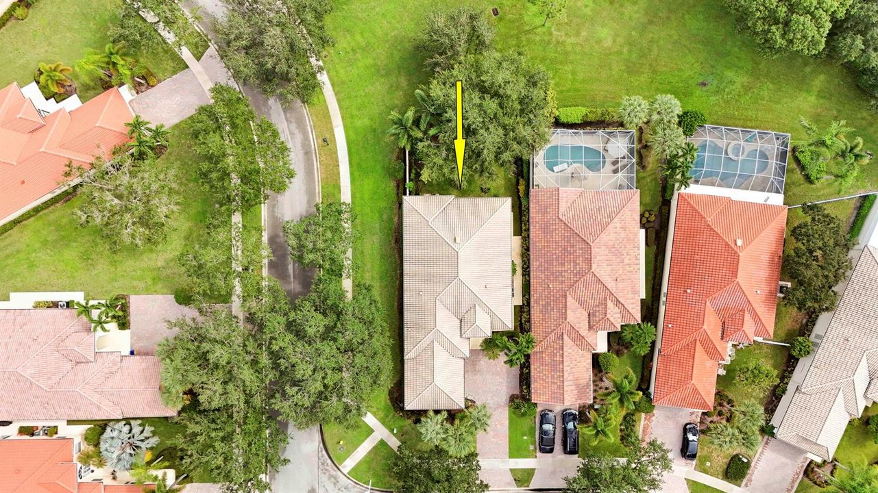 Aerials-6 copy