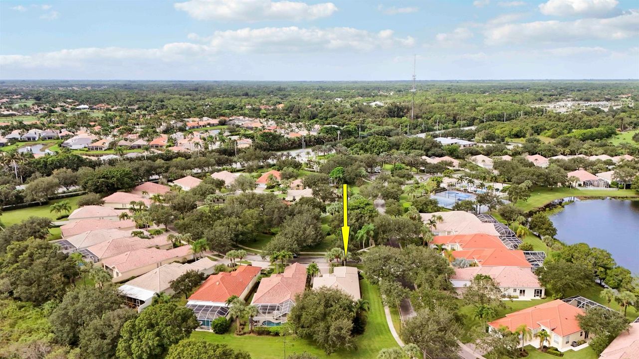 Aerials-8 copy