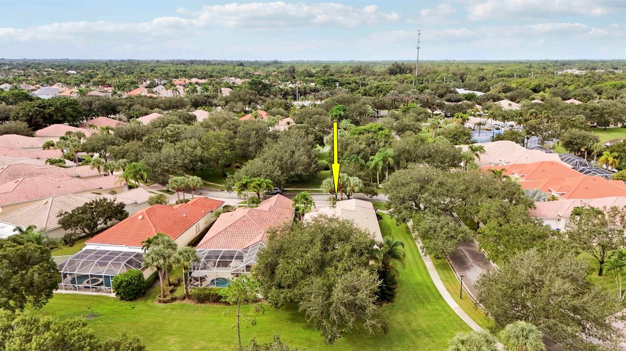 Aerials-7 copy