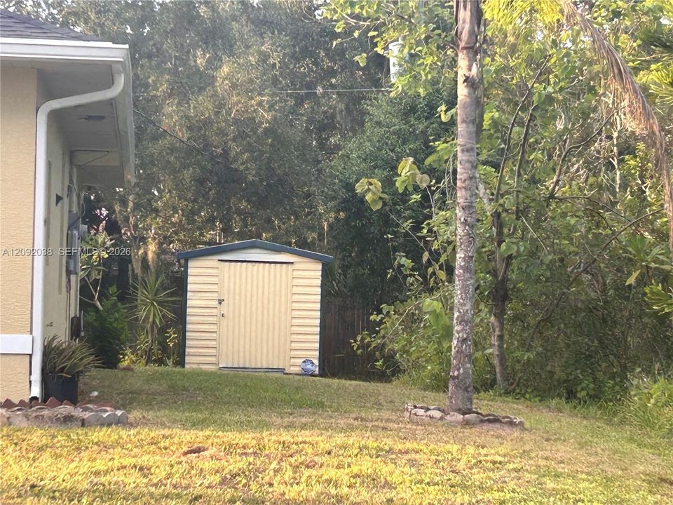 Side Yard