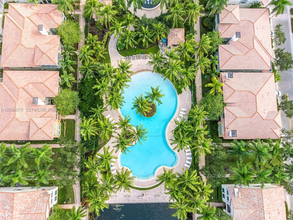 Resort-style pool with integrated island landscaping, surrounded by mature palm trees