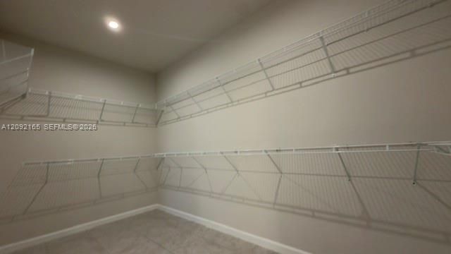 humongous primary closet-left view