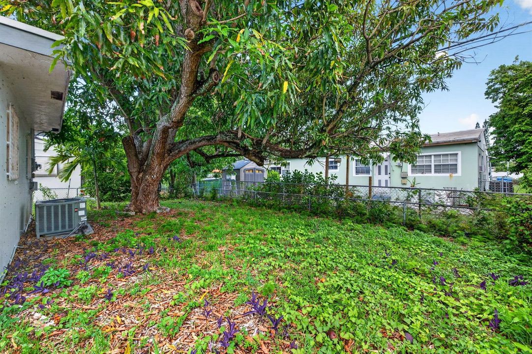 27-web-or-mls-699A5410