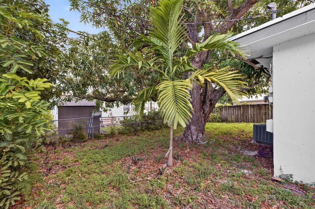 30-web-or-mls-699A5425