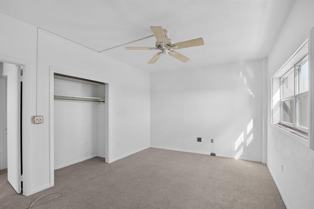 NEW CARPET SUMMER 2026