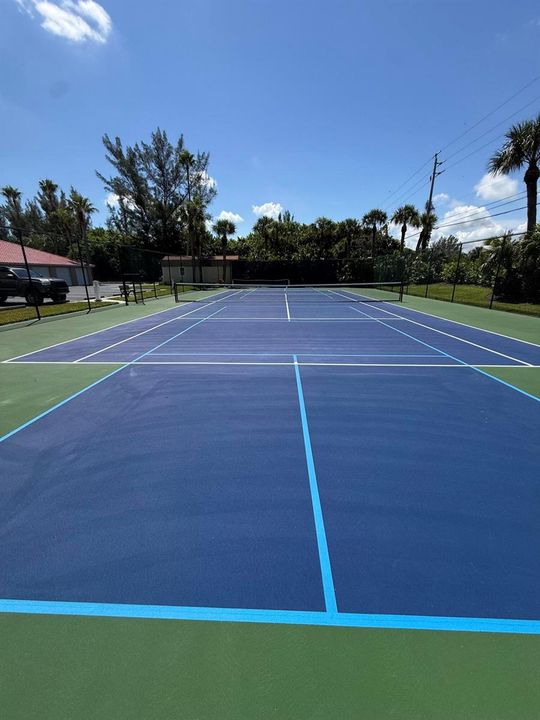 Tennis Pickle Ball
