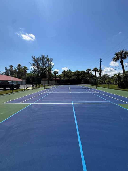 Pickle Ball or Tennis