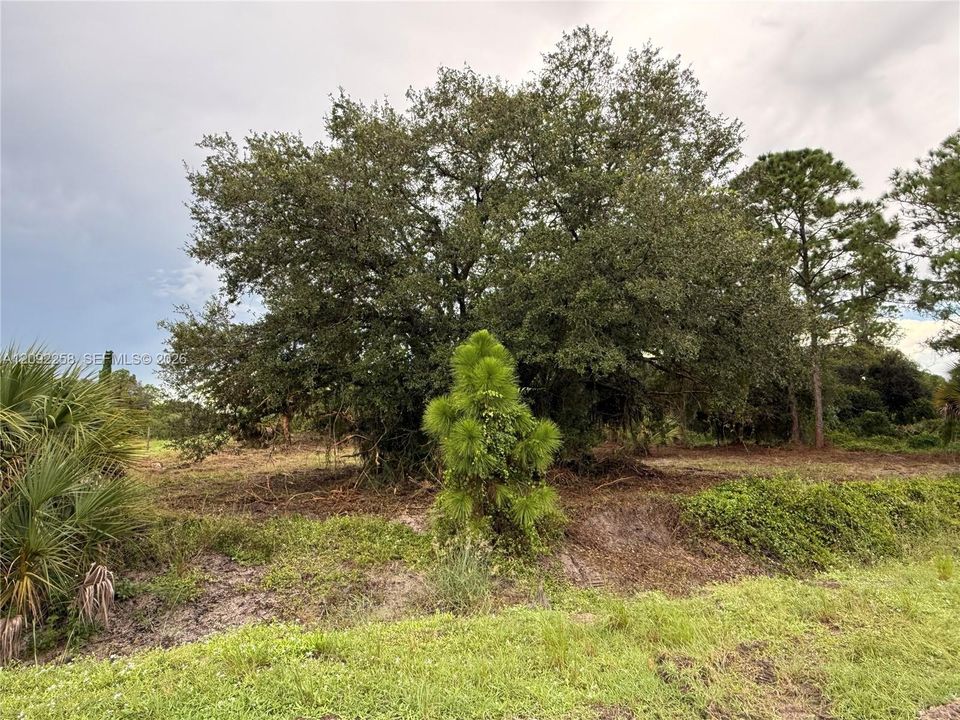 For Sale: $49,500 (1.25 acres)