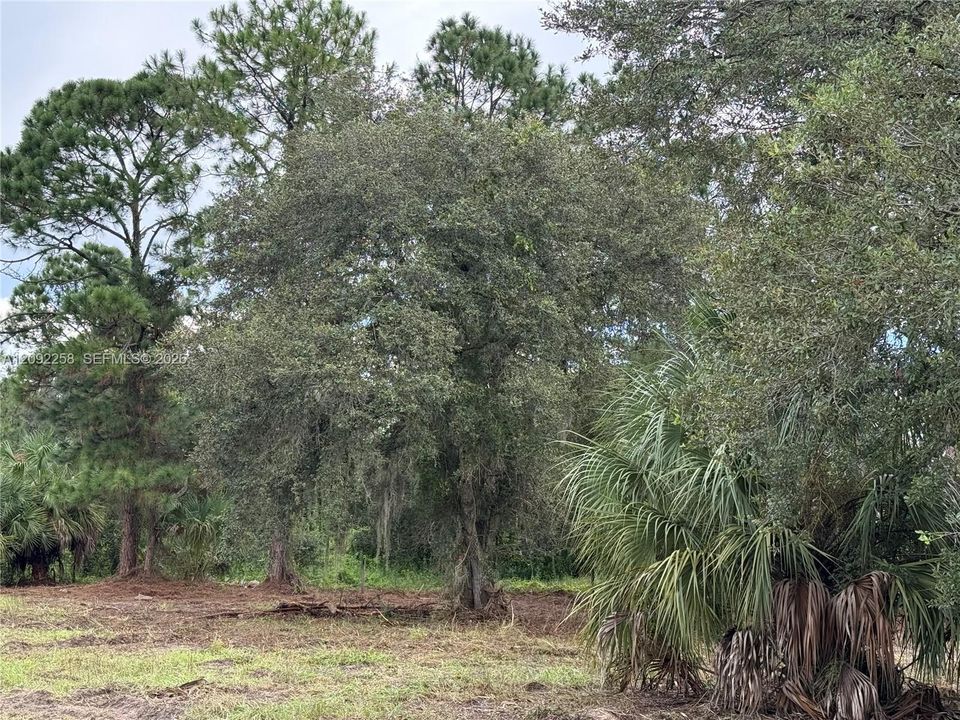 For Sale: $49,500 (1.25 acres)