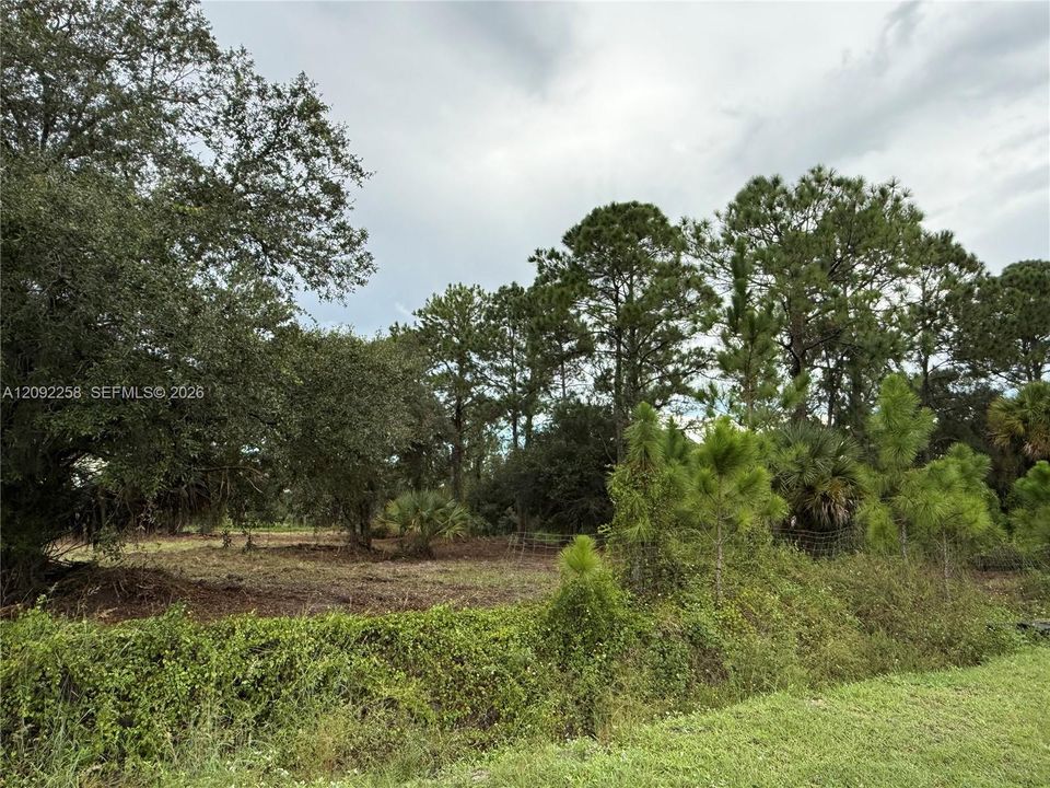 For Sale: $49,500 (1.25 acres)