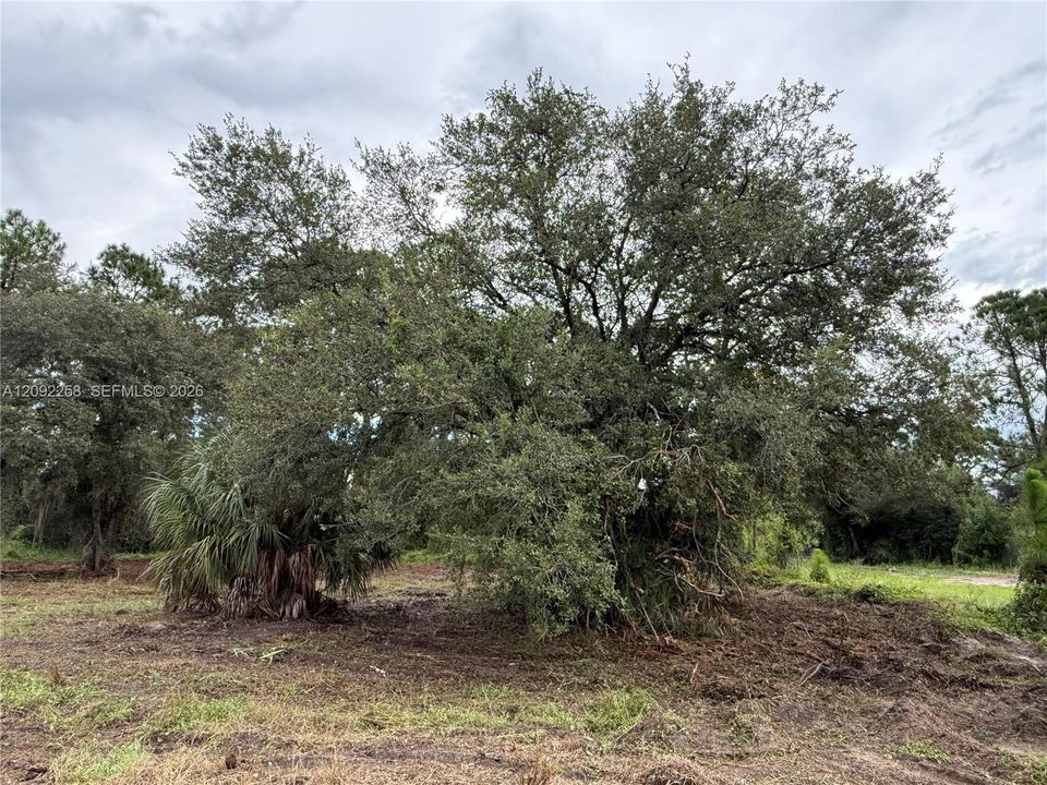 For Sale: $49,500 (1.25 acres)