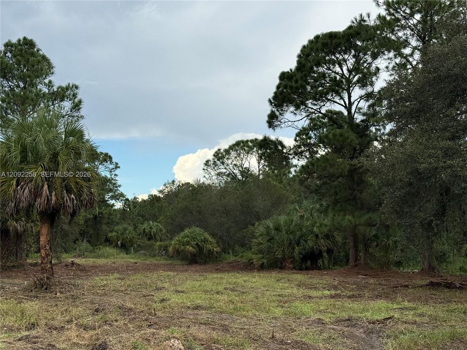 For Sale: $49,500 (1.25 acres)