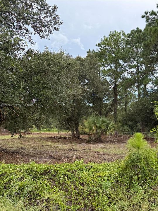 For Sale: $49,500 (1.25 acres)