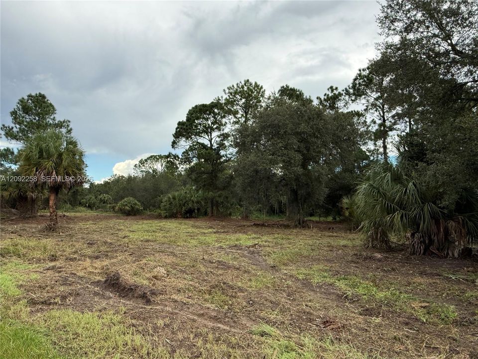 For Sale: $49,500 (1.25 acres)