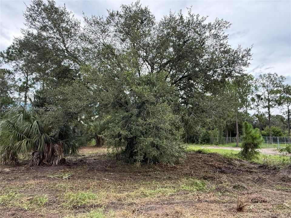 For Sale: $49,500 (1.25 acres)