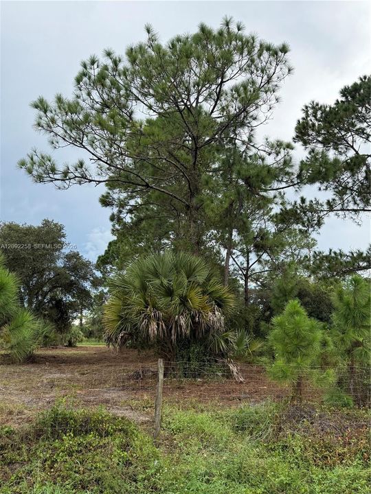 For Sale: $49,500 (1.25 acres)