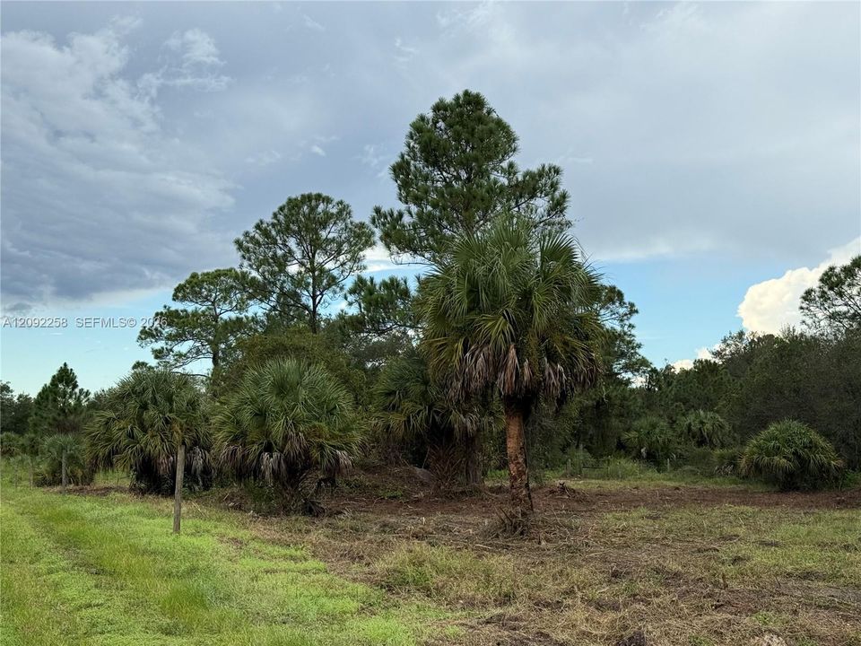 For Sale: $49,500 (1.25 acres)