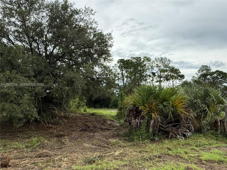 For Sale: $49,500 (1.25 acres)