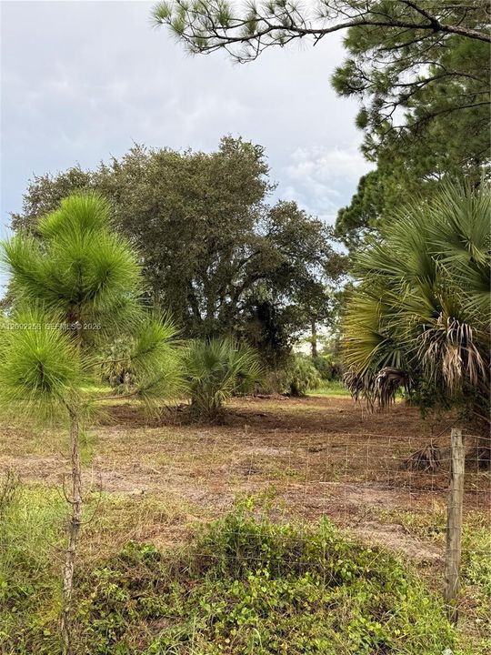 For Sale: $49,500 (1.25 acres)