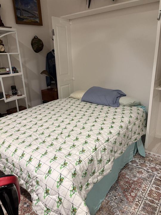 Murphy Bed Opened