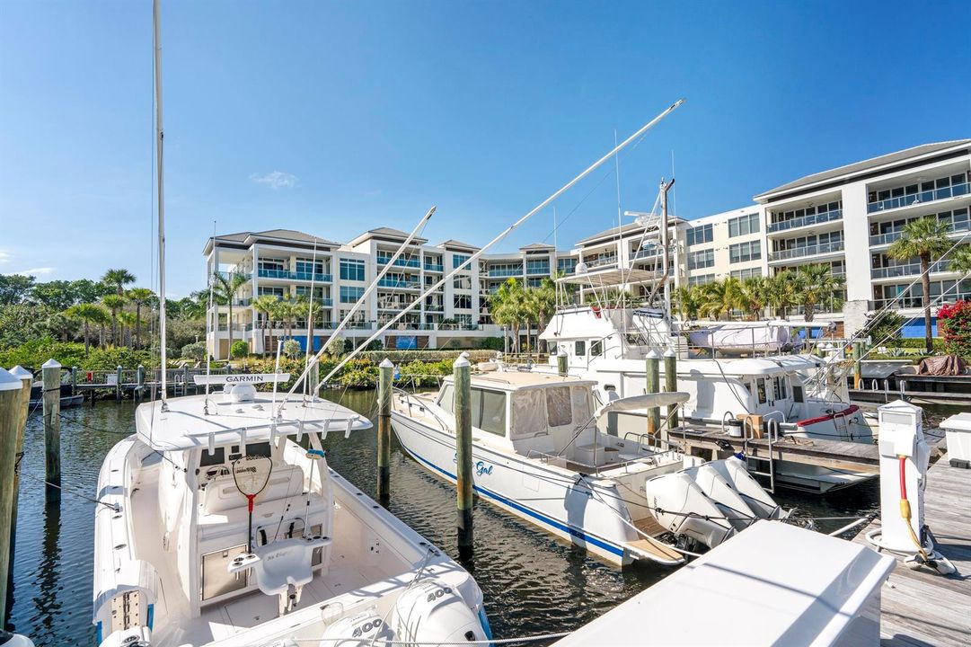 Palm Beach Gardens