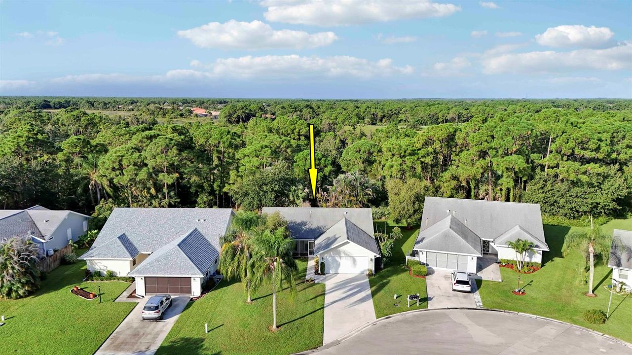 Aerials-3 copy