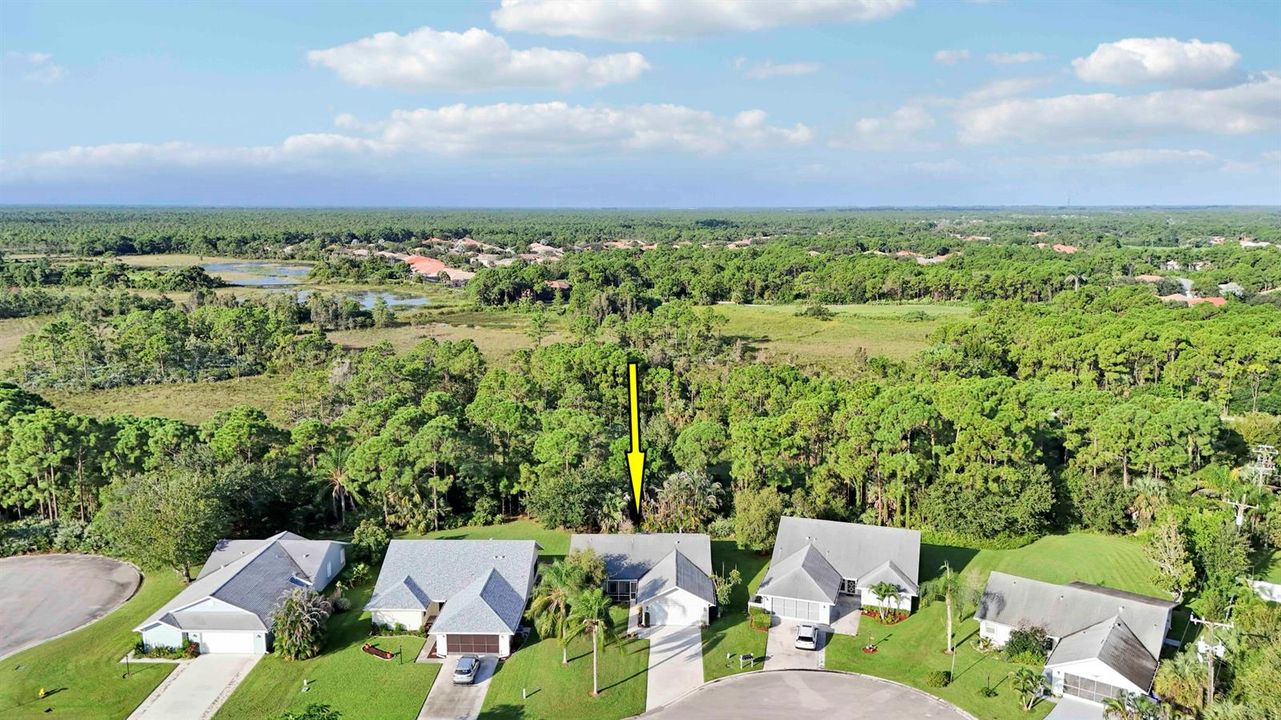 Aerials-4 copy