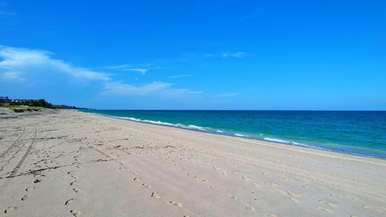 Beach_North View