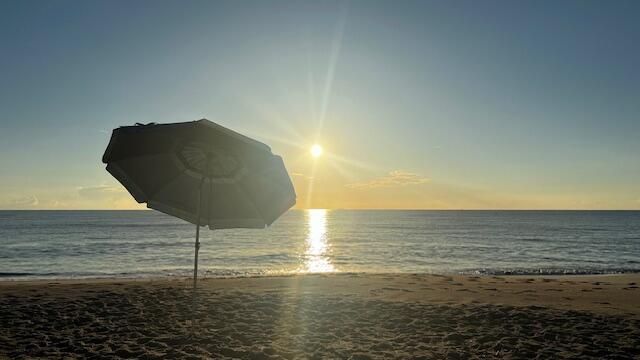 Beach Umbrella