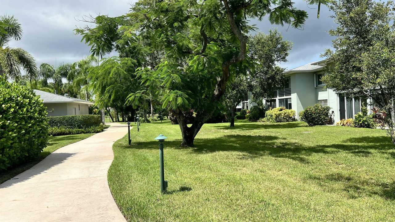 Walking Paths