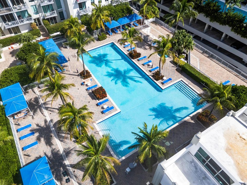 Salt Chlorinated Olympic Size Pool