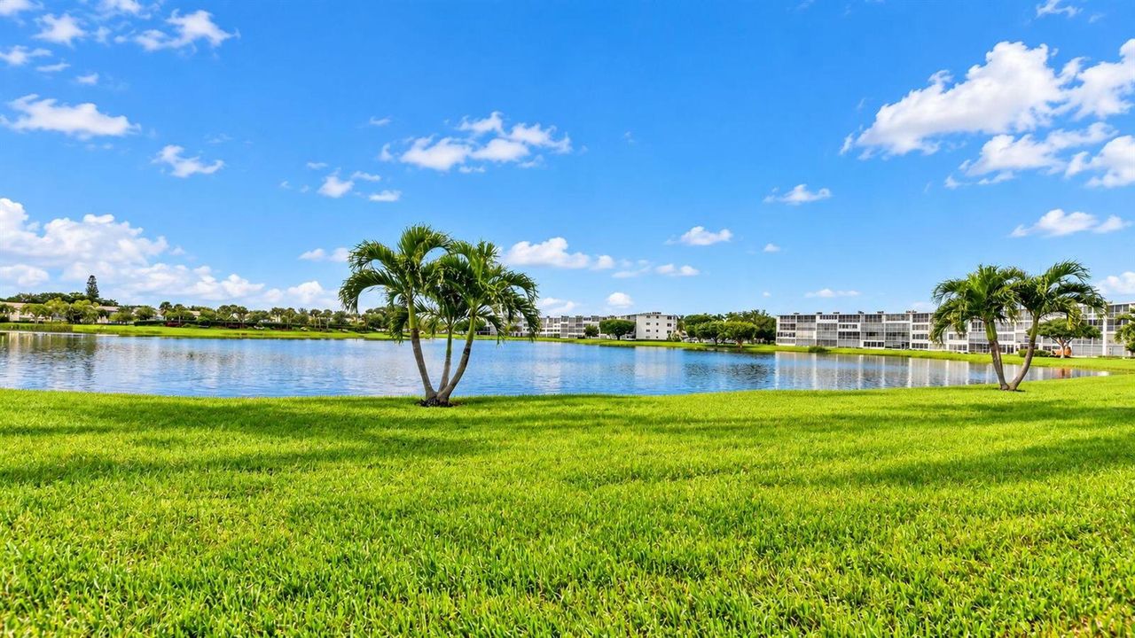 30-web-or-mls-1061 (3)