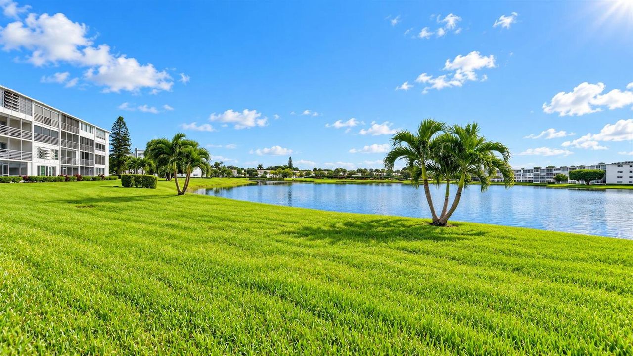 29-web-or-mls-1061 (2)