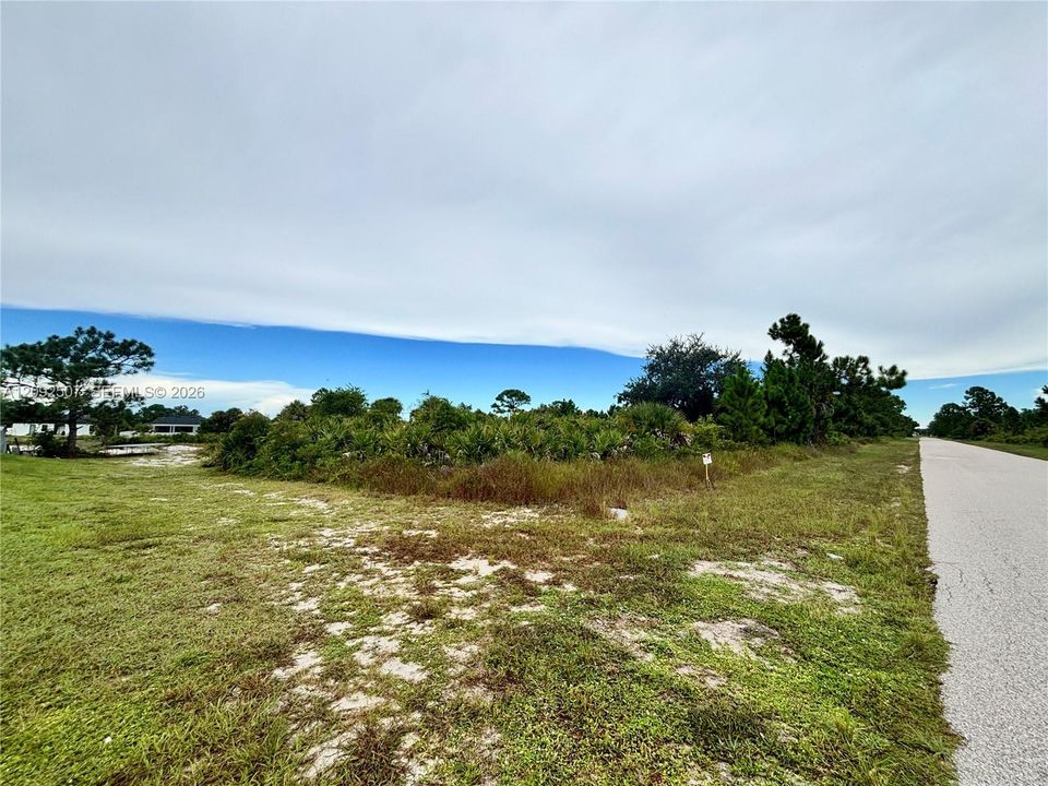 For Sale: $21,000 (0.25 acres)