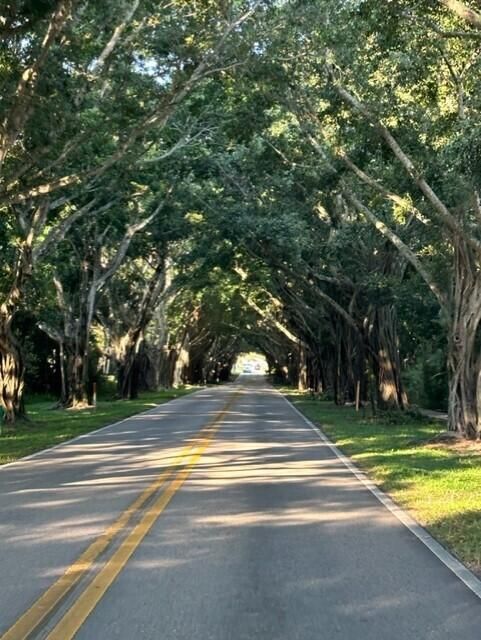 Bridge Road 2