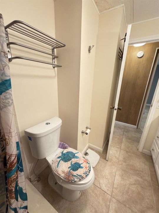 guest bath 2