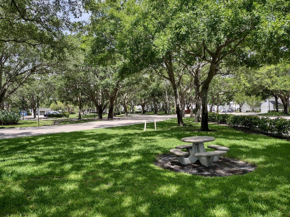 IMG_20240626_114049024_HDR