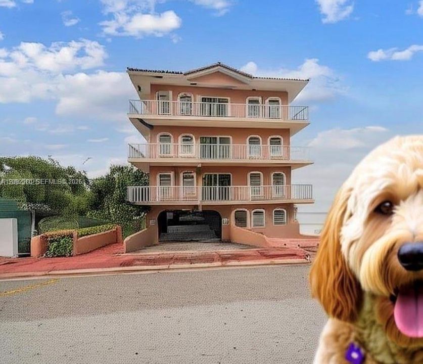 Pet friendly