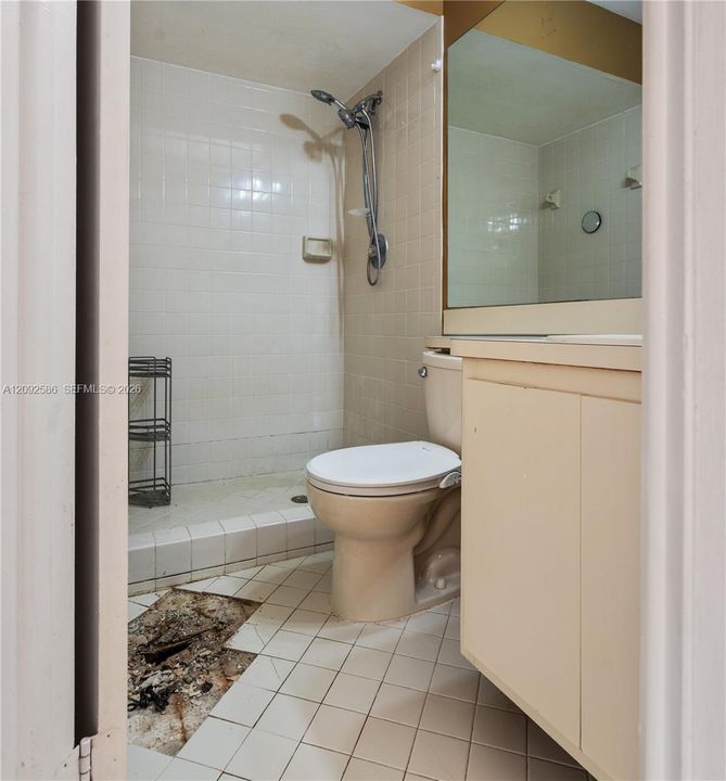 Upstairs bathroom
