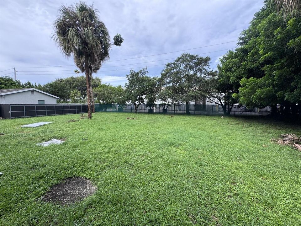 LARGE BACKYARD